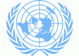 国際連合の年収・給与